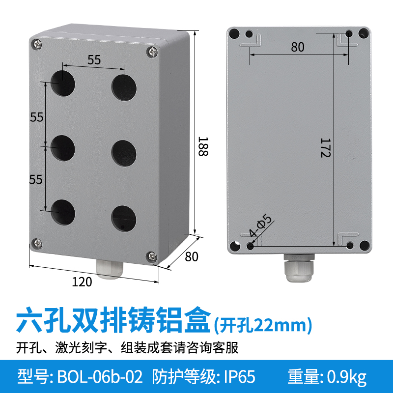 6孔双排-BOL-06b-02